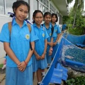 โครงการ กบสร้างพลังสามัคคี ชีวีพอเพียง